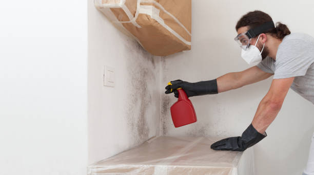 Professional Bathroom Mold Removal technician working in Portland, TX
